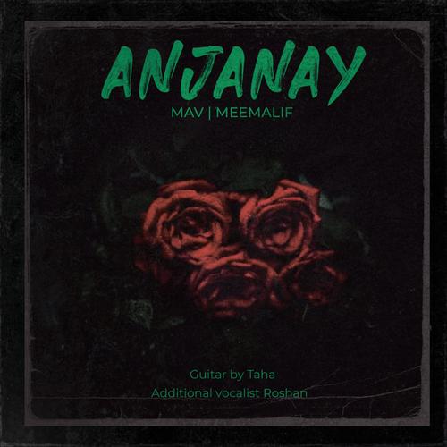 Anjanay (feat. Meemalif, Roshan & Taha)