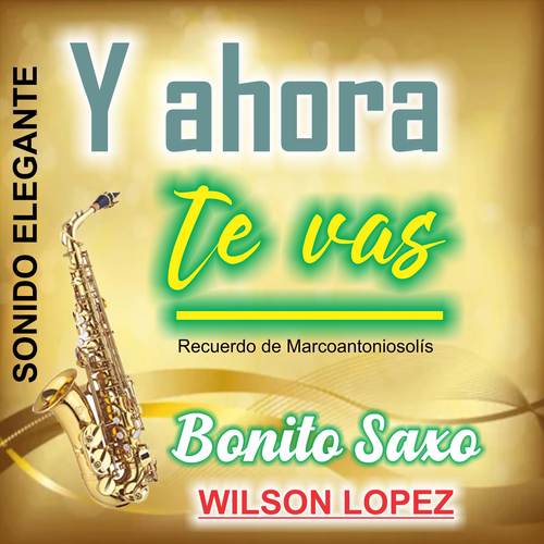 Y Ahora Te Vas/Recuerdo de Marco Antonio Solís/Sonido Elegante