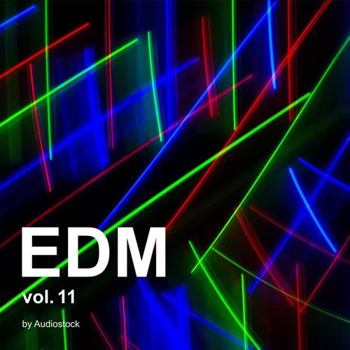 EDM Vol.11 -Instrumental BGM- by Audiostock