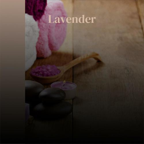 Lavender