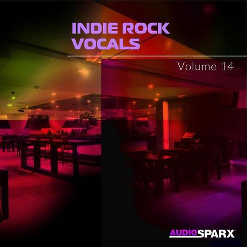 Indie Rock Vocals Volume 14