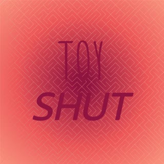 Toy Shut