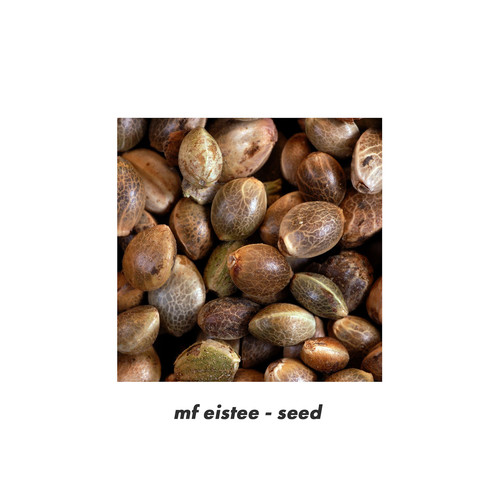 seed