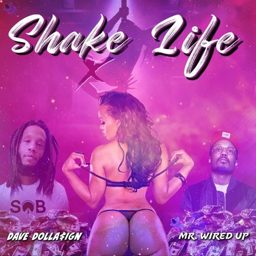 Shake Life (feat. Mr. Wired Up) [Explicit]