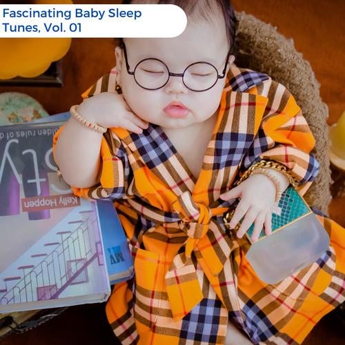 Fascinating Baby Sleep Tunes, Vol. 01