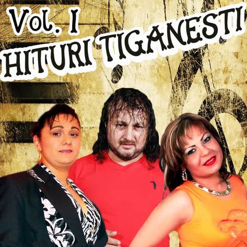 Hituri Tiganesti, Vol. 1