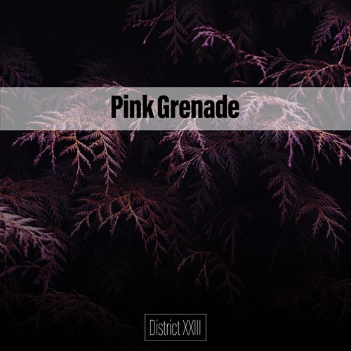 Pink Grenade District XXIII