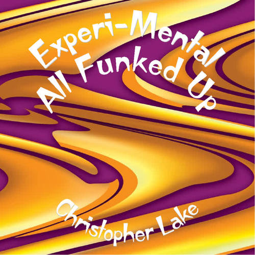 Experi-Mental / All Funked Up