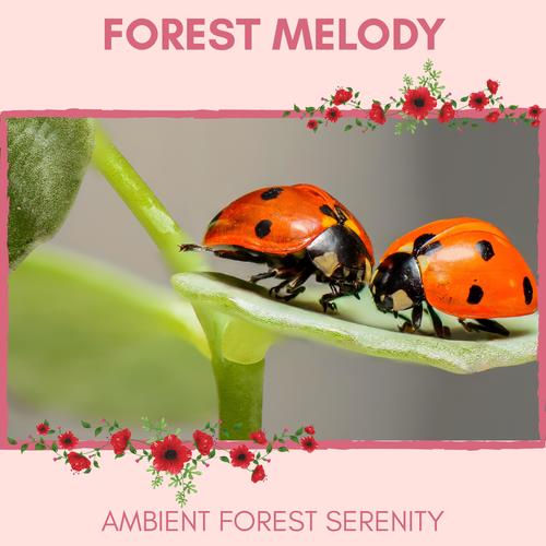 Forest Melody - Ambient Forest Serenity