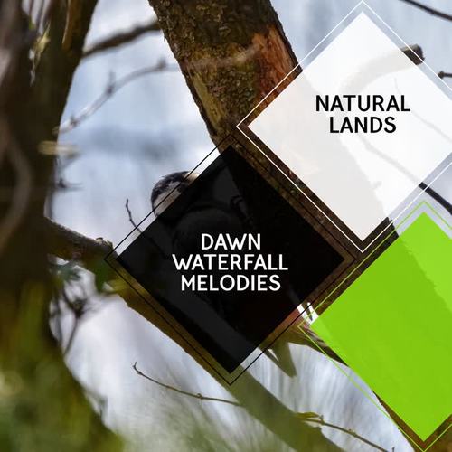 Dawn Waterfall Melodies - Natural Lands
