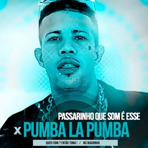 Passarinho Que Som É Esse X Pumba La Pumba (Explicit)