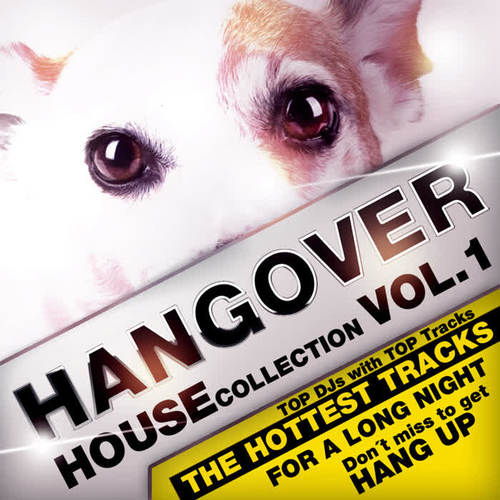 Hangover House Collection Vol. 1