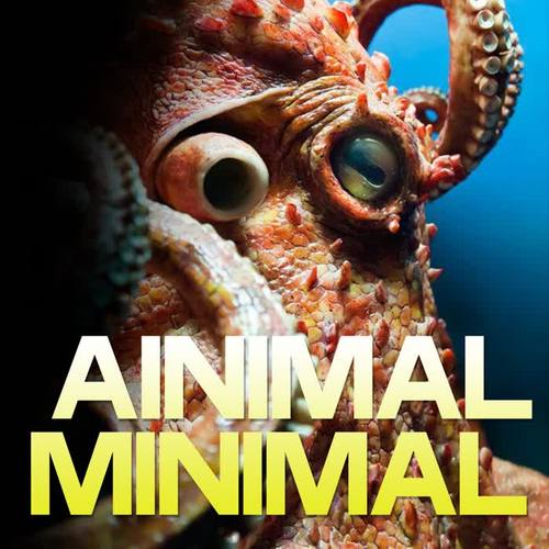 Animal Minimal (Tech Minimal Definition)