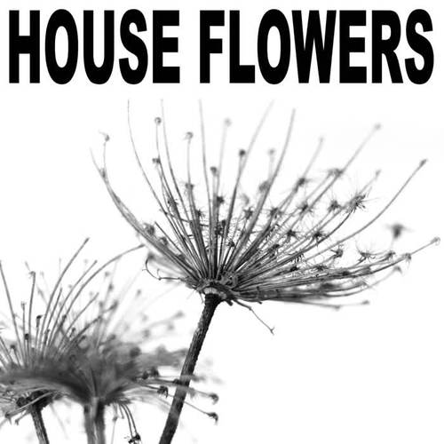 House Flowers