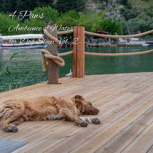 4 Paws: Ambience of Water for Dog Sleep Vol. 2