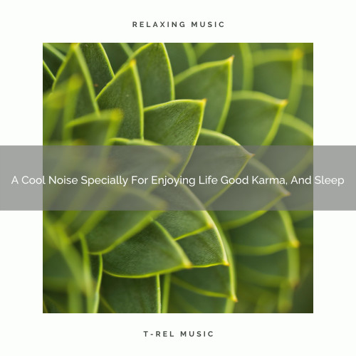 A Cool Noise Specially For Enjoying Life Good Karma, And Sleep