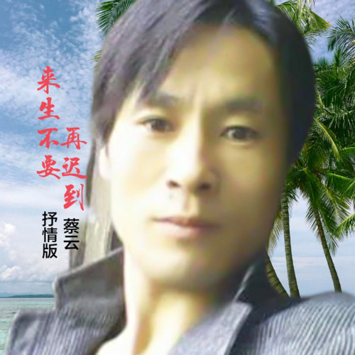 来生不要再迟到(抒情版)