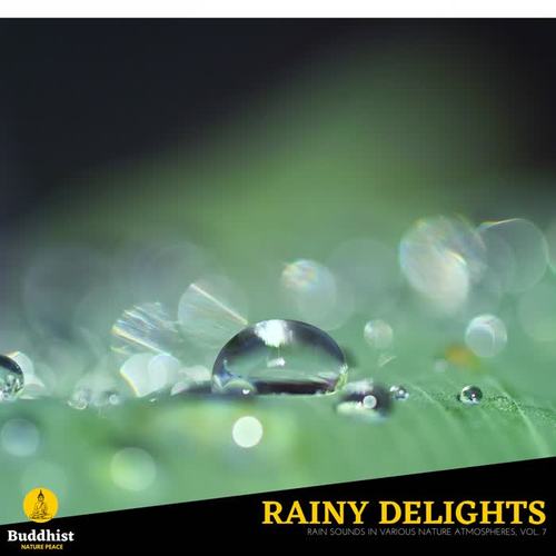 Rainy Delights - Rain Sounds in various Nature Atmospheres, Vol. 7