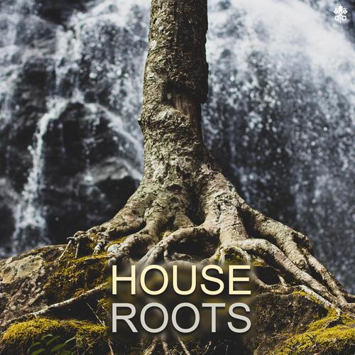 House Roots