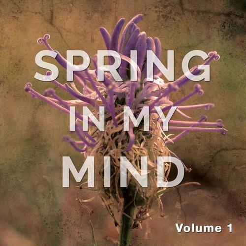 Spring in My Mind, Vol. 1 (Yoga & Meditation Chill out Tunes)