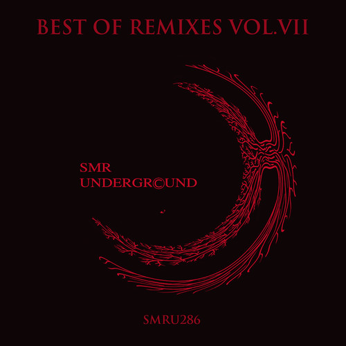 Best Of Remixes Vol.VII