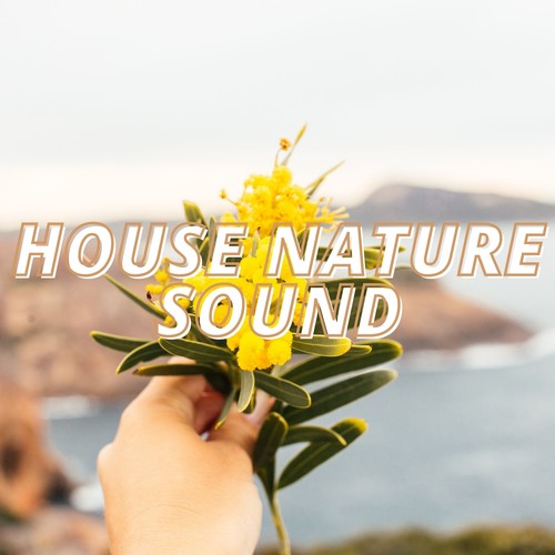 House Nature Sound