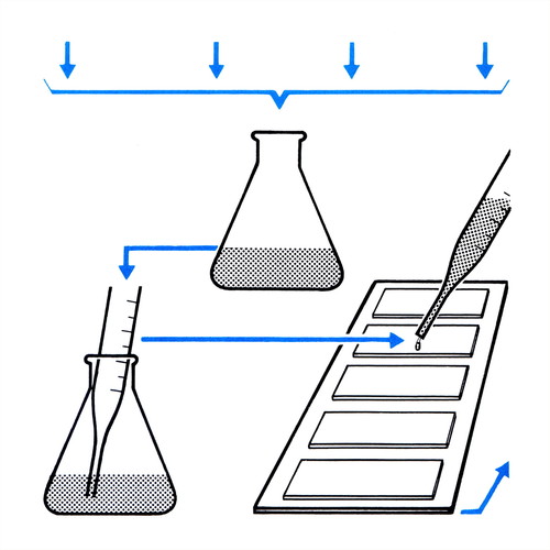 Fentanyl