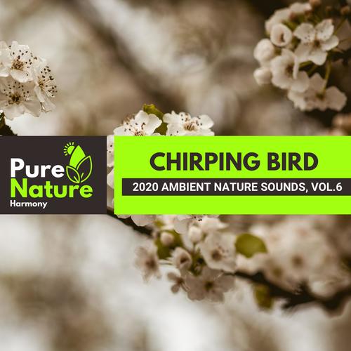 Chirping Bird - 2020 Ambient Nature Sounds, Vol.6