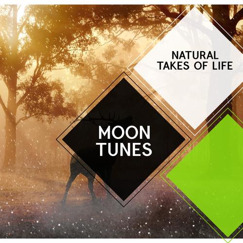 Moon Tunes - Natural Takes of Life