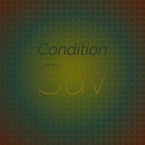 Condition Suv