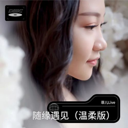随缘遇见（温柔版）