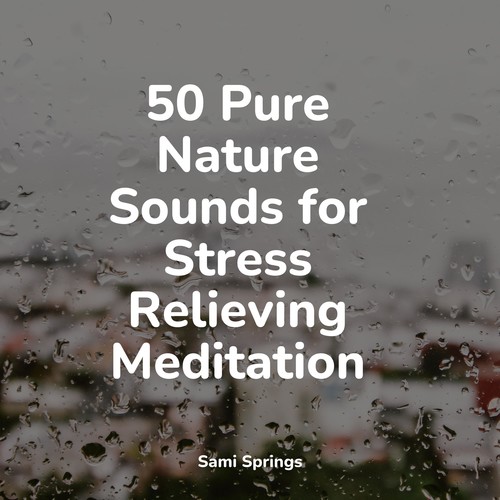 50 Pure Nature Sounds for Stress Relieving Meditation