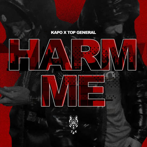 Harm Me (Explicit)