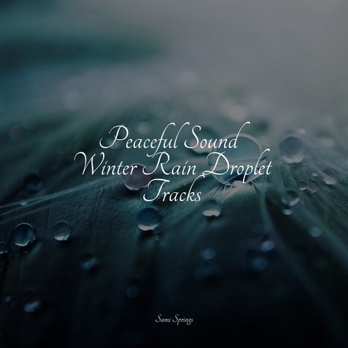 Peaceful Sound Winter Rain Droplet Tracks