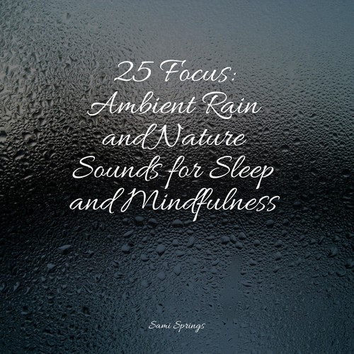 25 Focus: Ambient Rain and Nature Sounds for Sleep and Mindfulness