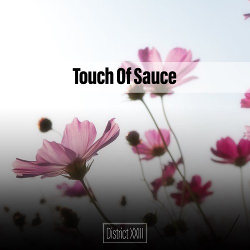 Touch Of Sauce District XXIII