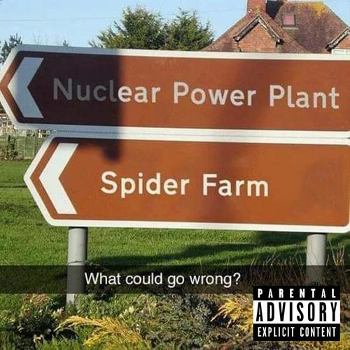 Nuclear Power Plant Spider farm (Explicit)