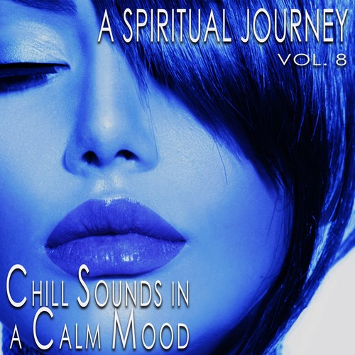 A Spiritual Journey, Vol. 8