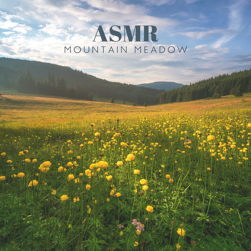 ASMR Mountain Meadow: Nature Relaxing Sounds & Birds, River, Brook, Grasshopper, Forest and Wind ( Therapy Sessions for Stress Relief)