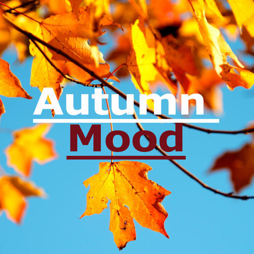 Autumn Mood (Explicit)