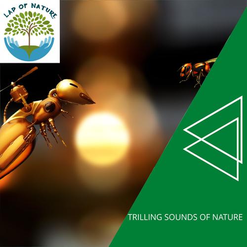 Trilling Sounds of Nature