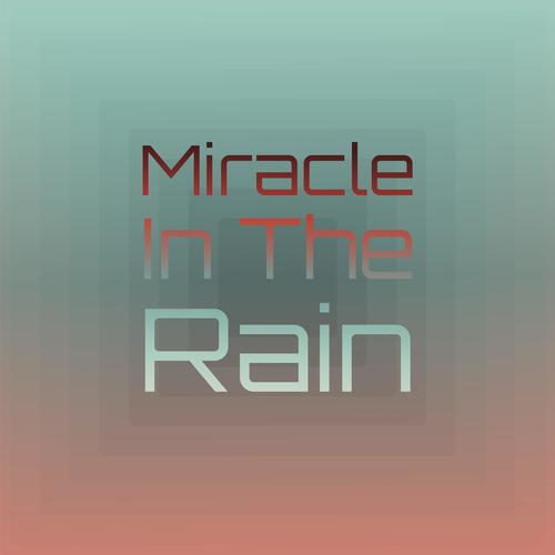 Miracle In The Rain