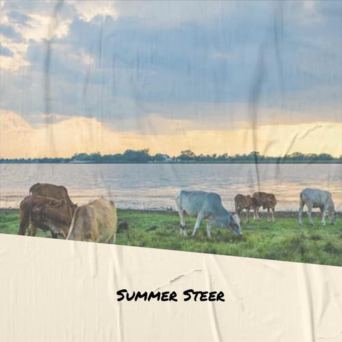 Summer Steer