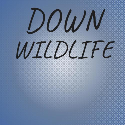 Down Wildlife