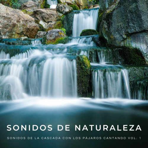 Sonidos De Naturaleza: Sonidos De La Cascada Con Los Pájaros Cantando Vol. 1