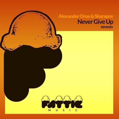 Never Give Up Remixes