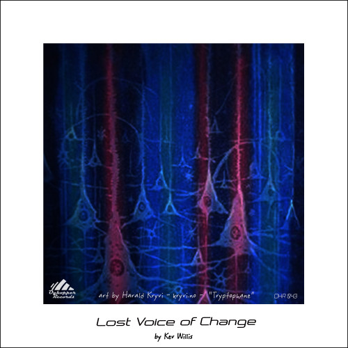 Lost Voice of Change