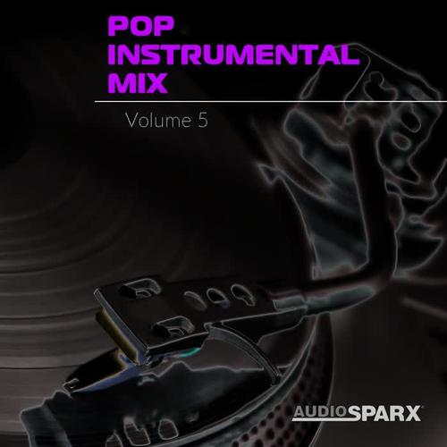 Pop Instrumental Mix Volume 5