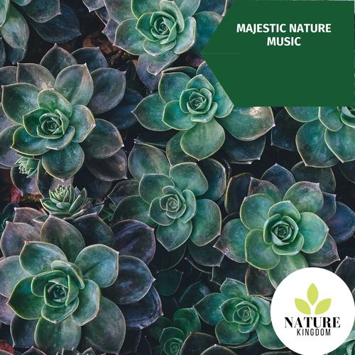 Majestic Nature Music