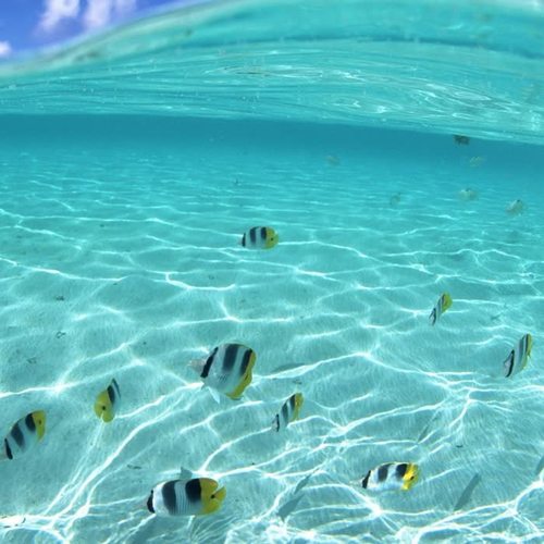 流浪